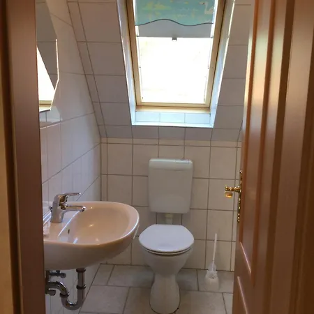 Rotbuche 1 * 노르다히