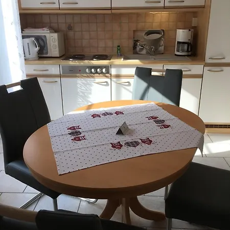 Rotbuche 1 노르다히