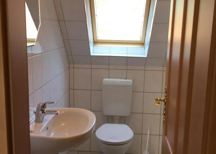 Rotbuche 1 * נורדייך