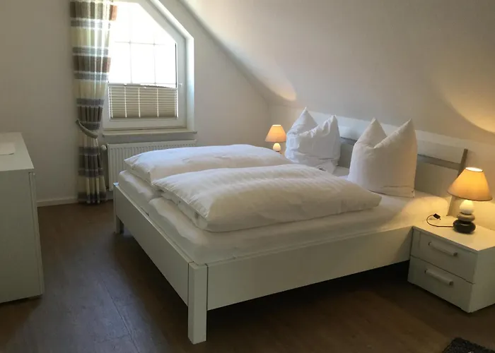 Rotbuche 1 * נורדייך